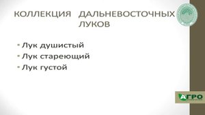 Дальневосточные растения в ассортименте питомника «АГРО»