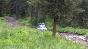 МУЛЬТА 2013  - ЛЕТНИИ ЗАРИСОВКИ...