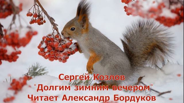 Сказки С. Козлова. Долгим зимним вечером