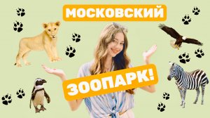 ОБЗОР МОСКОВСКОГО ЗООПАРКА - МАНУЛ ТИМОША И ДРУГИЕ 🐾