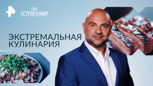 Экстремальная кулинария — Как устроен мир с Тимофеем Баженовым (27.11.2023)