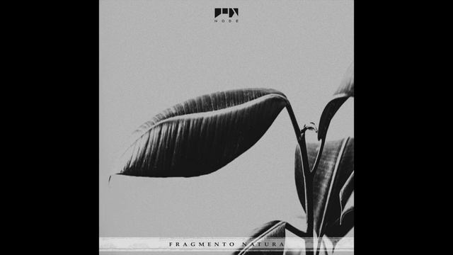 Indefinite Pitch premieres. Dorian Gray - Gamma Cygni [NODE Recordings] смотреть онлайн