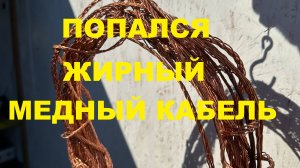 СХРОН ЖЕЛЕЗА ПОПОЛНЯЕТСЯ | НЕ ПЛОХИЕ МЕТАЛЛО НАХОДКИ | ПОПАЛСЯ ЖИРНЫЙ МЕДНЫЙ КАБЕЛЬ