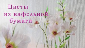 ЭФФЕКТНО и ВЫГОДНО   Цветы из вафельной бумаги