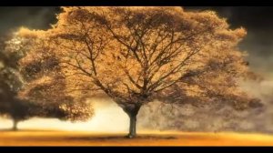 Arash feat Helena   Broken Angel Original HD