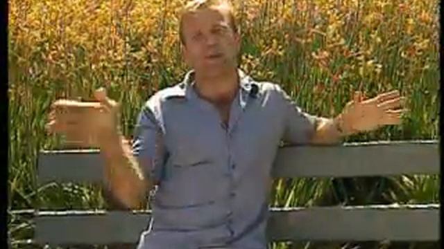 WOW- Whats on the Weekend Program - stars смотреть онлайн