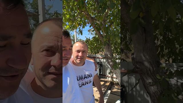 Самый маленький арбуз смотреть онлайн