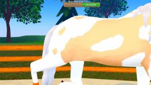 Новая лошадь  ?Какая порода ? ВЛОГ