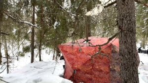 ПОПАЛИ НА ЖОР ХАРИУСА. ЖИРНЫЕ ХОРЬКИ ГНУТ УДОЧКИ. СКОЛЬКО В ЭТОЙ РЕКЕ РЫБЫ. ЧАСТЬ2