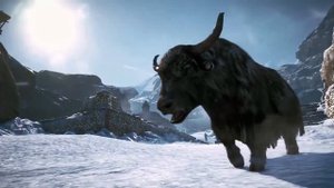 CD Key Far Cry 4 www.instant-gaming.com