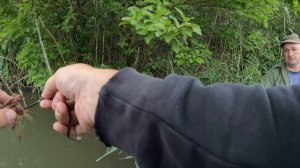 СОМ на подвесы. УТРЯНКА. ДГК.