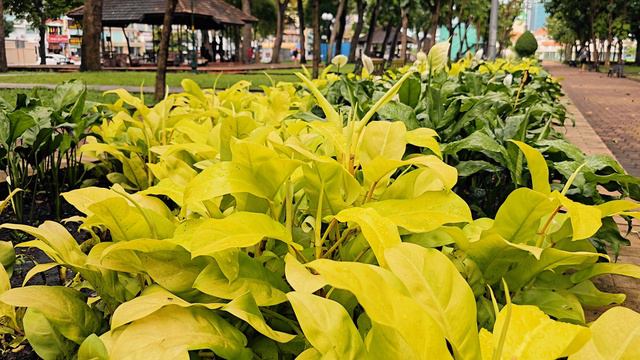 23 сентября Парк смотреть онлайн