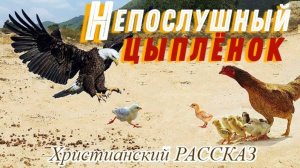 📗 "Непослушный цыпленок" ~ СЛАЙДЫ | РАССКАЗ Христианский для ДЕТЕЙ 👧☀️АУДИОРАССКАЗ