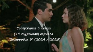 Содержание 1 серии (74 турецкая) третьего сезона сериала "Зимородок" (РФ, 2024 / 2025)