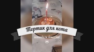 Как приготовить тортик для кота 🎂😺