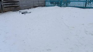 видеооооо