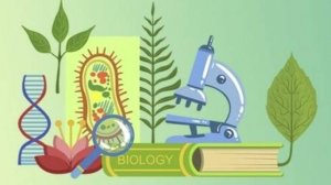 Биология 7 класс  . Ткани растений
