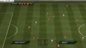 FIFA 2011 для Сани