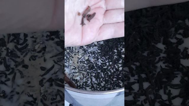 Уютный согревающий ЧАЙ. #хорошийвкус #рецепт #чай смотреть онлайн