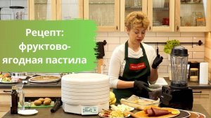 Фруктово-ягодная пастила в дегидраторе и блендере