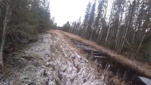К концу охоты нашли дичь, но тут что-то пошло не так. Охота на боровую с мелкашкой.