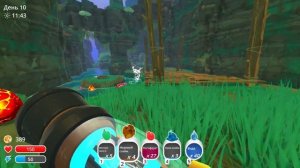Поход в Джунгли ! Slime Rancher ! #2