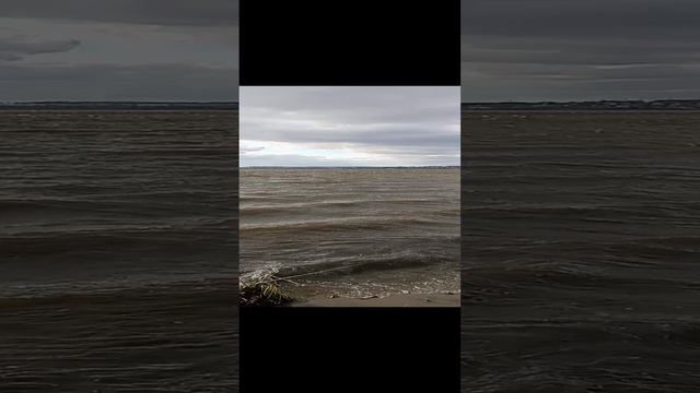 Неприкаянность бурных вод Шершневского водохранилища. 23.09.2024 #докторндн #пасхальвиварий #челябин