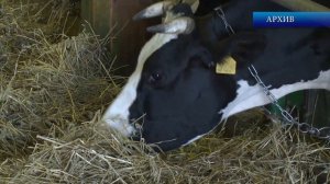 2024_09_24_УБОРКА УРОЖАЯ В СО