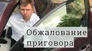 Как обжаловать приговор суда: помощь адвоката