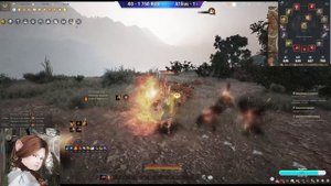 BDO: BUGS. Лагов нету #VoVheG_Play