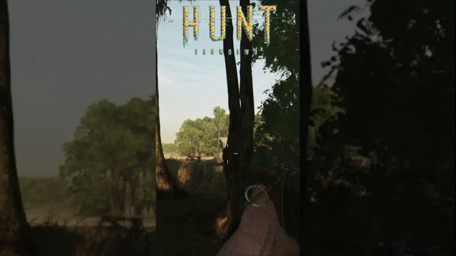 Hunt Showdown - Не много кемперства!!