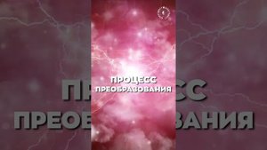 #БлагоВест ✴ ПРОЦЕСС ПРЕОБРАЗОВАНИЯ