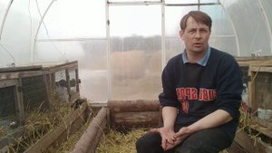 Покупатель пытался меня обмануть. Не вышло. 
#кролики #кролиководство #разведениекроликов #животные