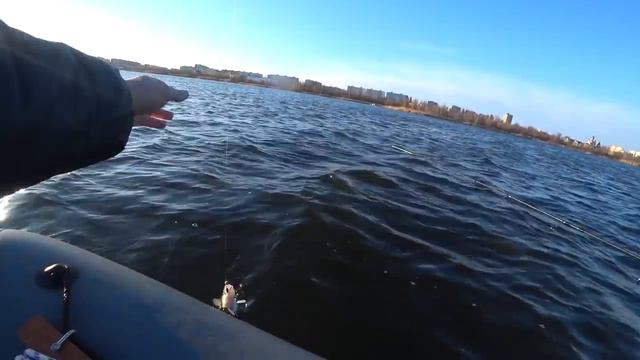 Открытие сезона по судаку 2019 смотреть онлайн