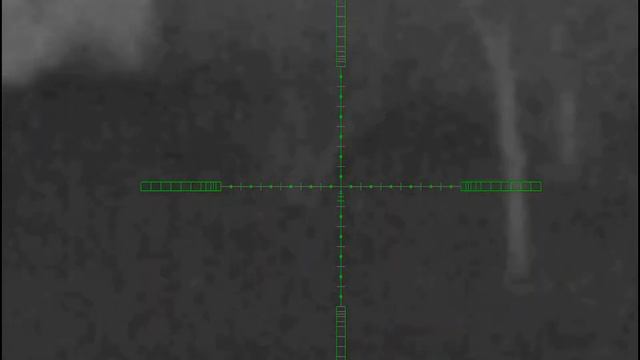 Ночная охота на шакала. Быстрая добыча.🐺 смотреть онлайн