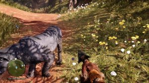 Far Cry Primal - All Tameable Animals / All Beasts Tamed