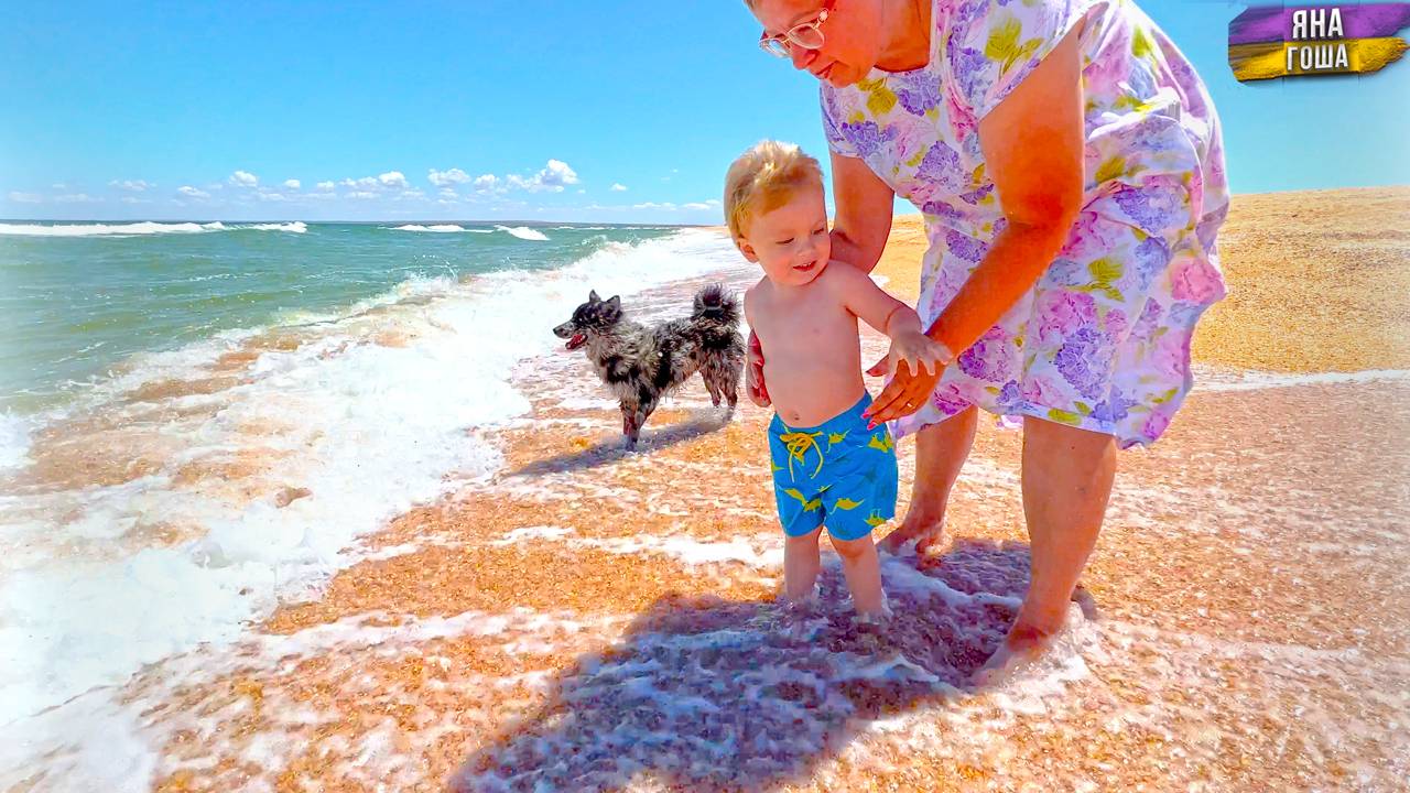 Мы на море! Крым - любовь! Цесарки вернулись! Яна приговорила петухов!