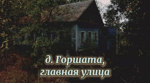Деревня Горшата, главная улица.mp4