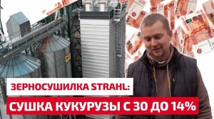 Сушка кукурузы с 30 до 14% на зерносушилке Штраль. Коротко и по делу.