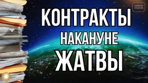 Ревизия и активация Контрактов, Договоров и Соглашений