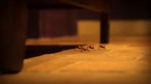 The yule log - Рождественское полено (360p)