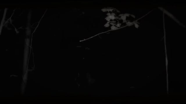 Нельзя Засыпать! - Все Серии От Worldbegemotkot