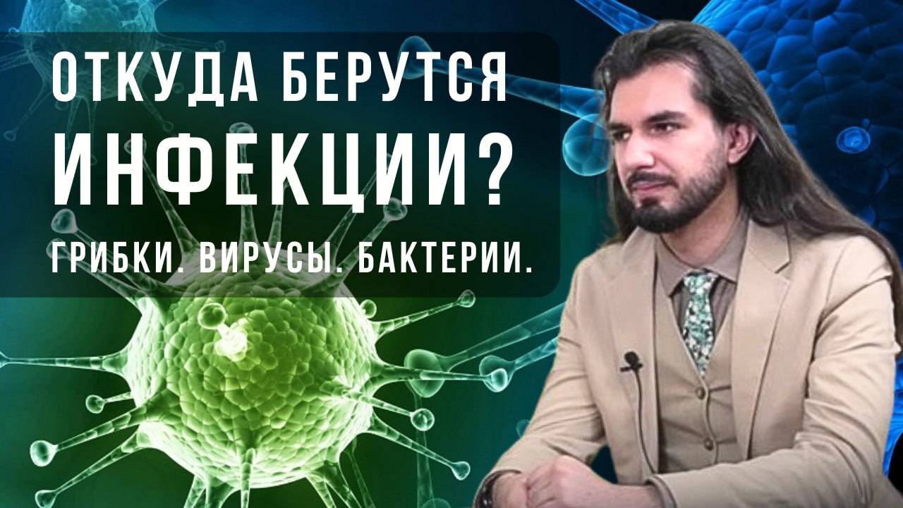 Откуда берутся инфекции?