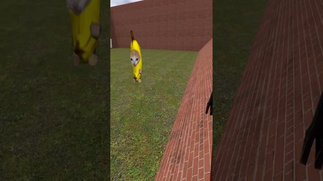 Explosive Banana For Banana Cat Nextbot Gmod 4