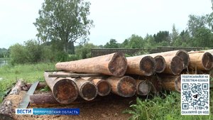 Первые 9 земельных участков выделены бойцам СВО в Вологодской области