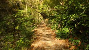 «Источник света»