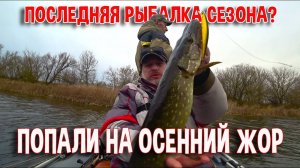 Последняя рыбалка сезона? Попали на осенний жор