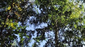 Сергей Макаров (г. Омск)_Живи, Бурла!