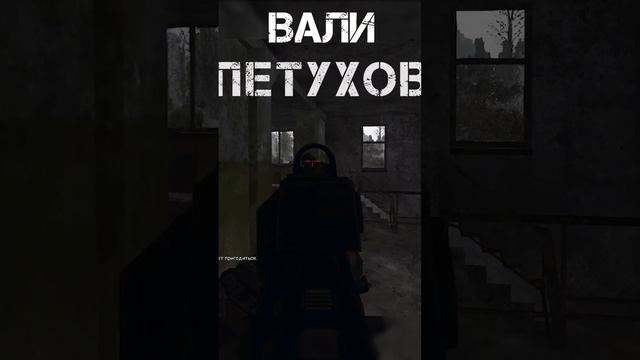 ВАЛИ ПЕТУХОВ) Stalker Dead Air Anomaly #shorts