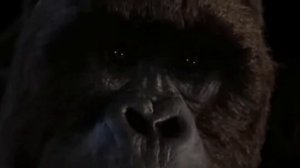 Клип~Джо Янг/Слышу шепот в темноте